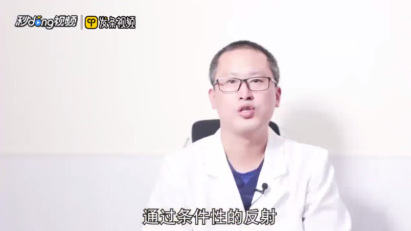 宠物猫的名字有哪些