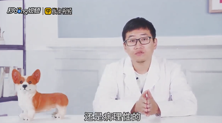 为什么狗狗总是爱蹭屁股？