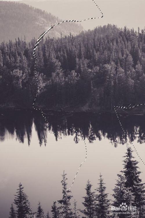 如何在Photoshop中创建一个双重曝光效果