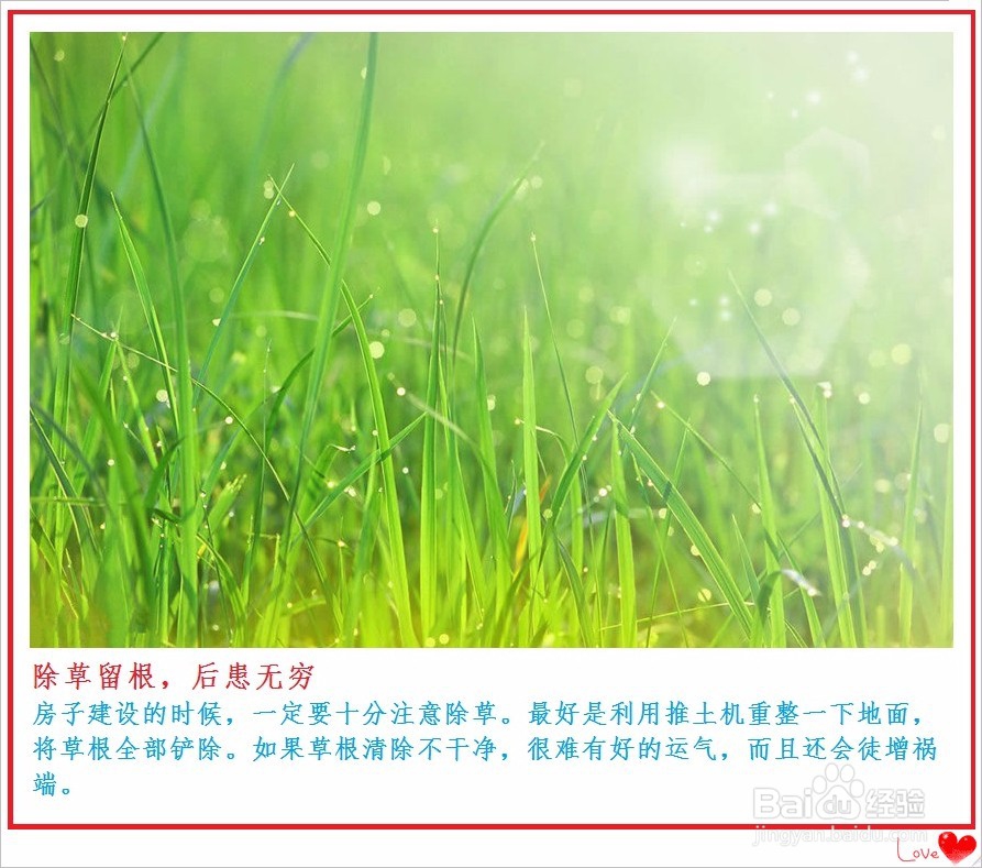 如何选房子[购房要注意哪些事项]