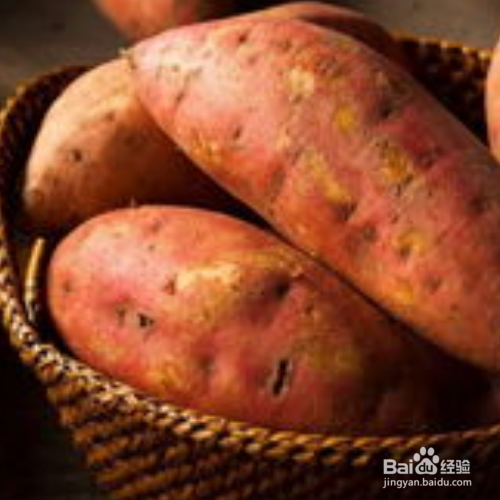 地瓜的储存方法有哪些?