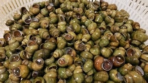 好吃到停不下来的火锅底料炒螺丝