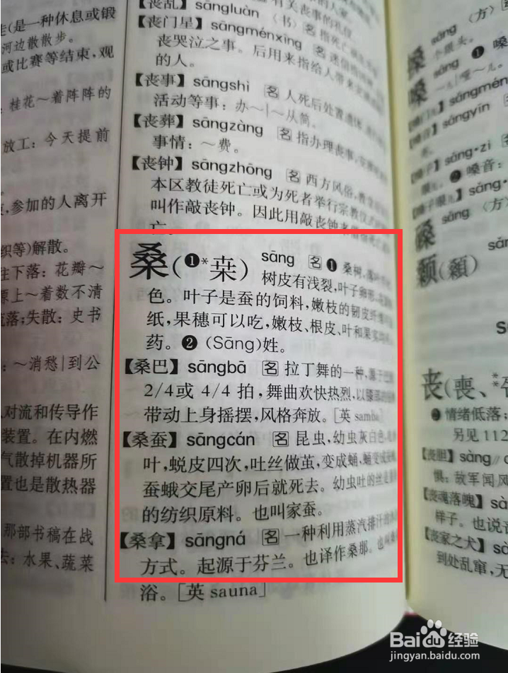 桑字按照部首怎么查找字典