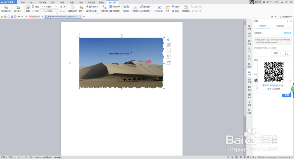 如何在Word文档里插入图片以及在线分享？