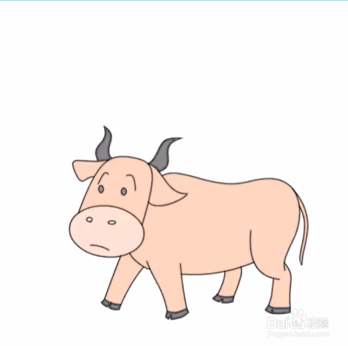 如何画黄牛?