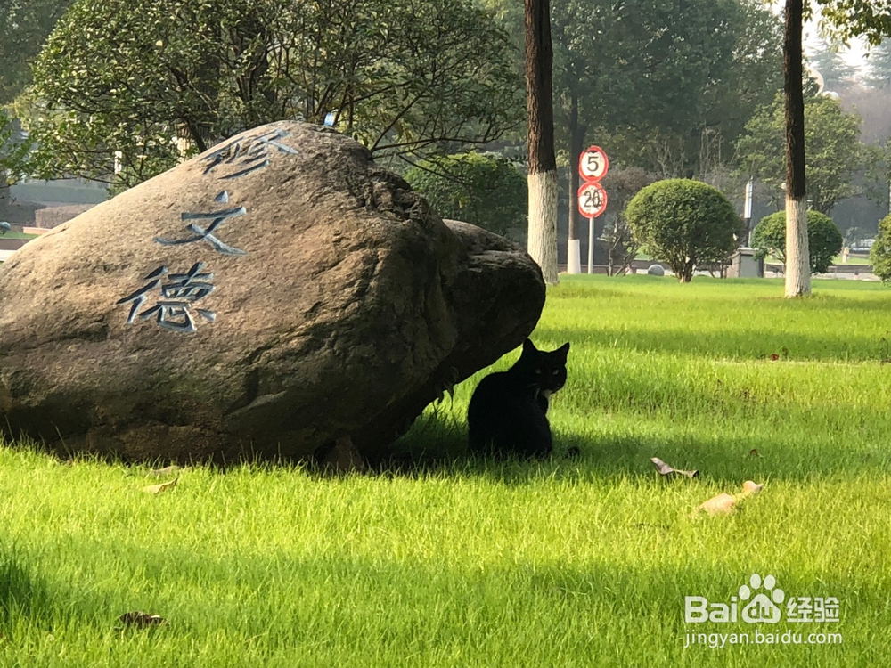 拍照的小秘诀