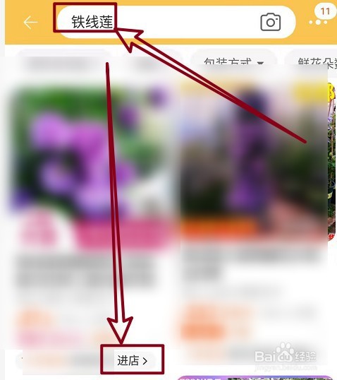 铁线莲怎么养殖方法
