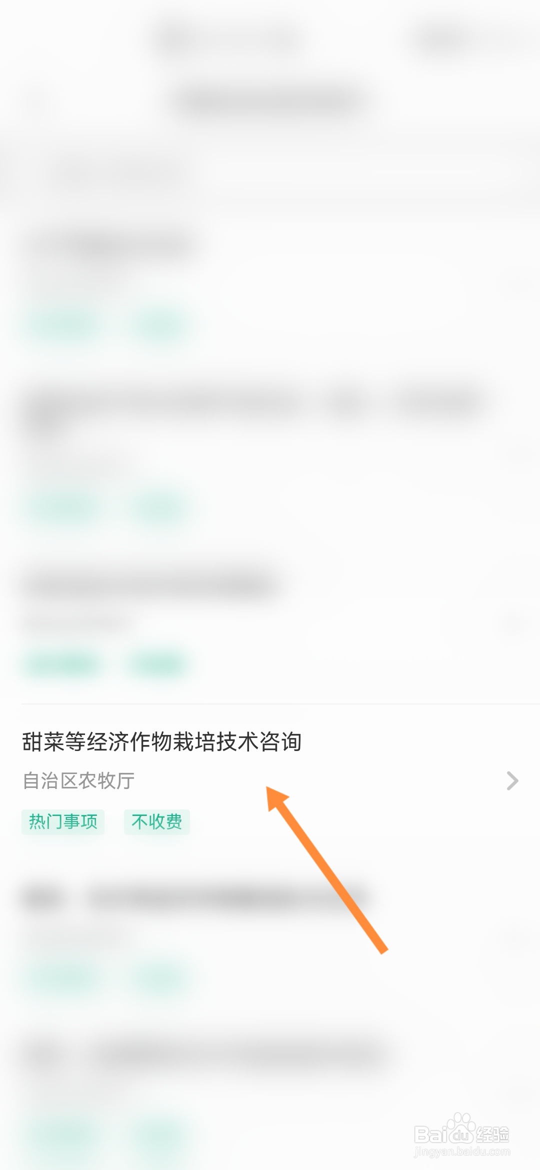 蒙速办怎样咨询甜菜等经济作物栽培技术