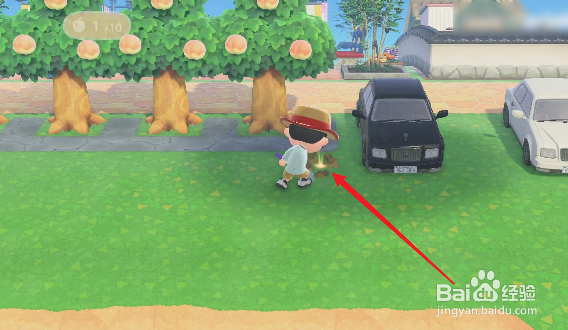 动物森友会铃钱袋子在哪里挖