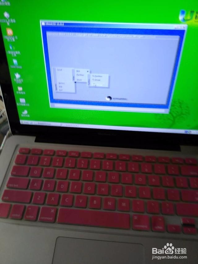 苹果电脑APPLE出现蓝屏装系统