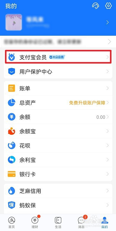 支付宝绿野仙踪头像框在哪获得