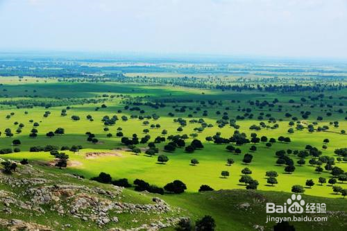 王的宫殿代钦塔拉旅游攻略