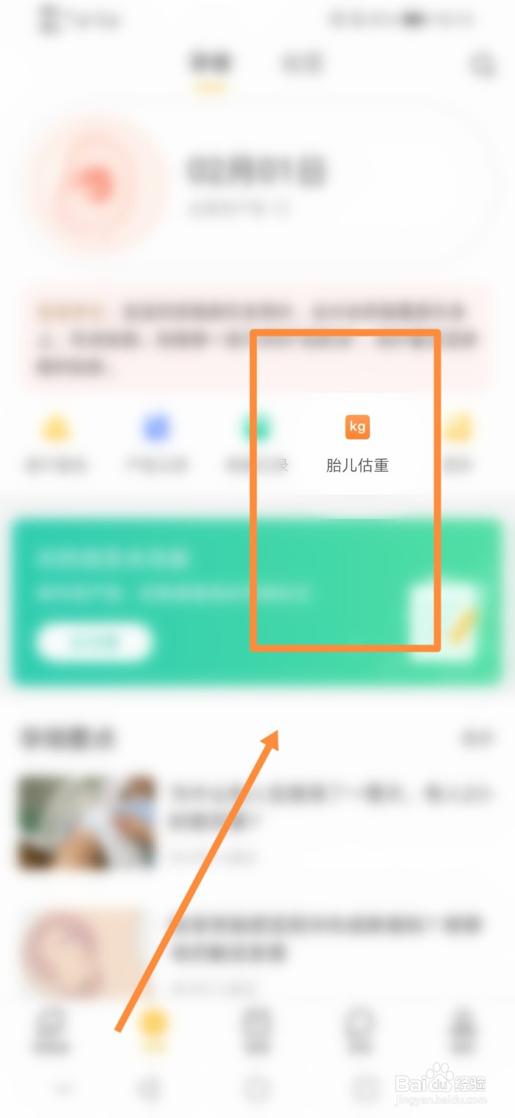 亲宝宝怎么进行胎儿估重