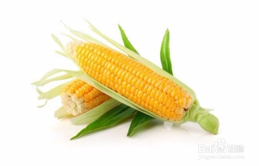 怎么选购新鲜的蔬菜(中)