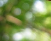 危险无处不在，提高防灾避险意识