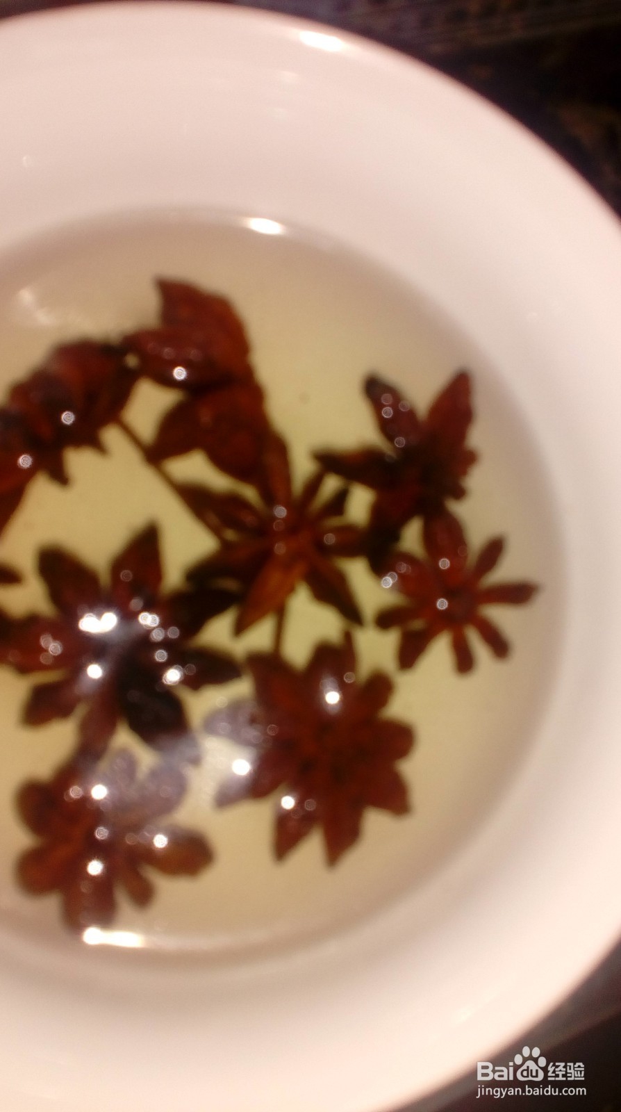 垂钓鲫鱼窝子