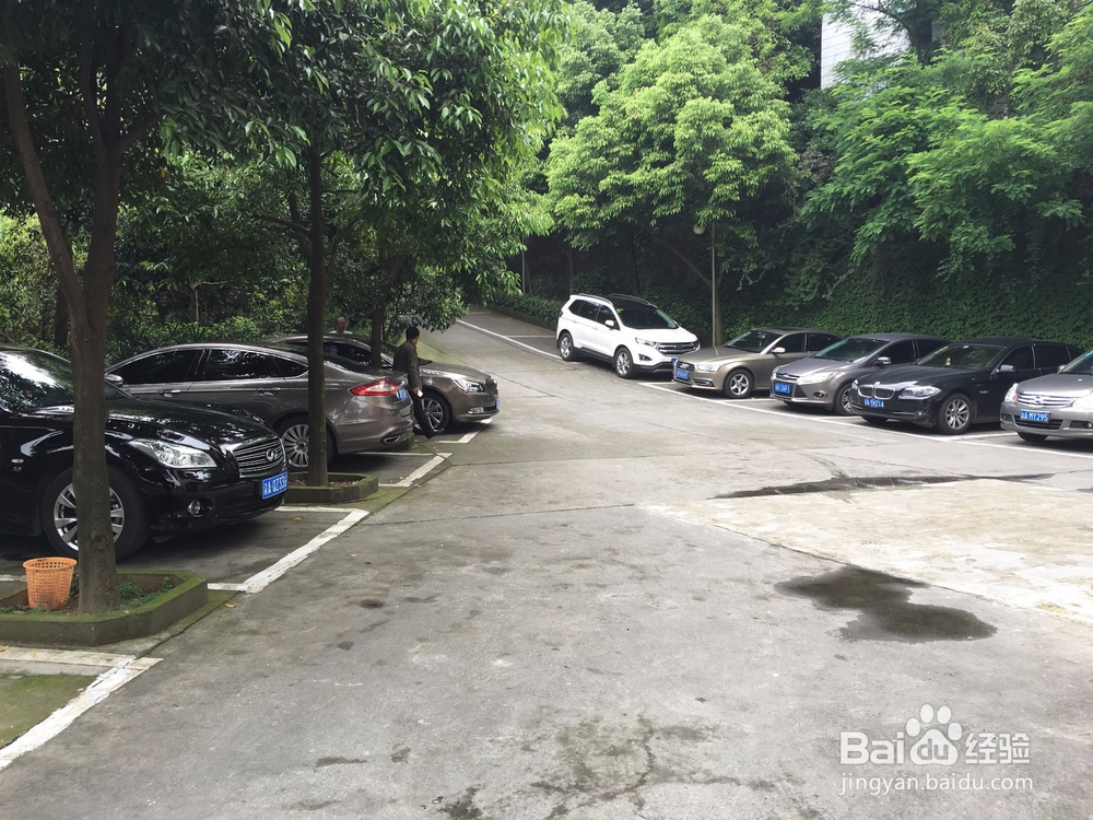 北碚区缙云山宏云山庄攻略