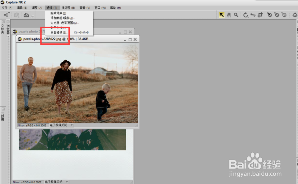 如何用capture将彩色图片黑白化