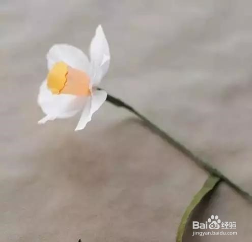 如何制作漂亮的水仙花