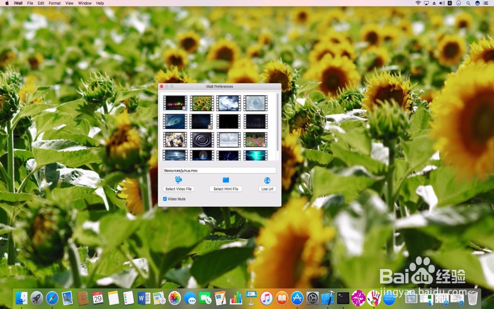 iwall详细使用帮助及心得