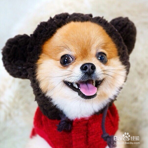 汇金宝盒如何下载安装