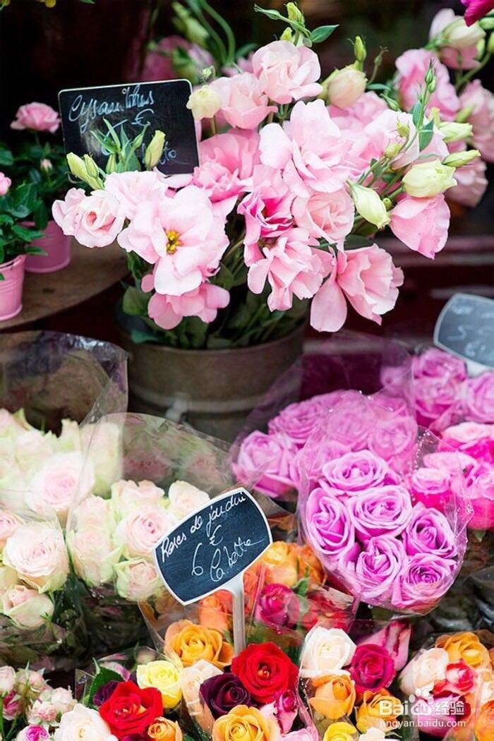 暑假社会实践ppt