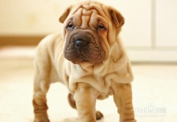 怎么去除沙皮体臭