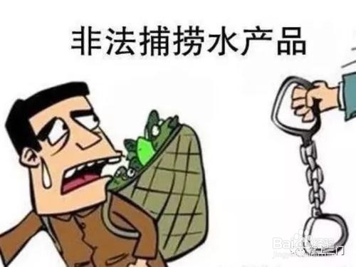如何保护华容河