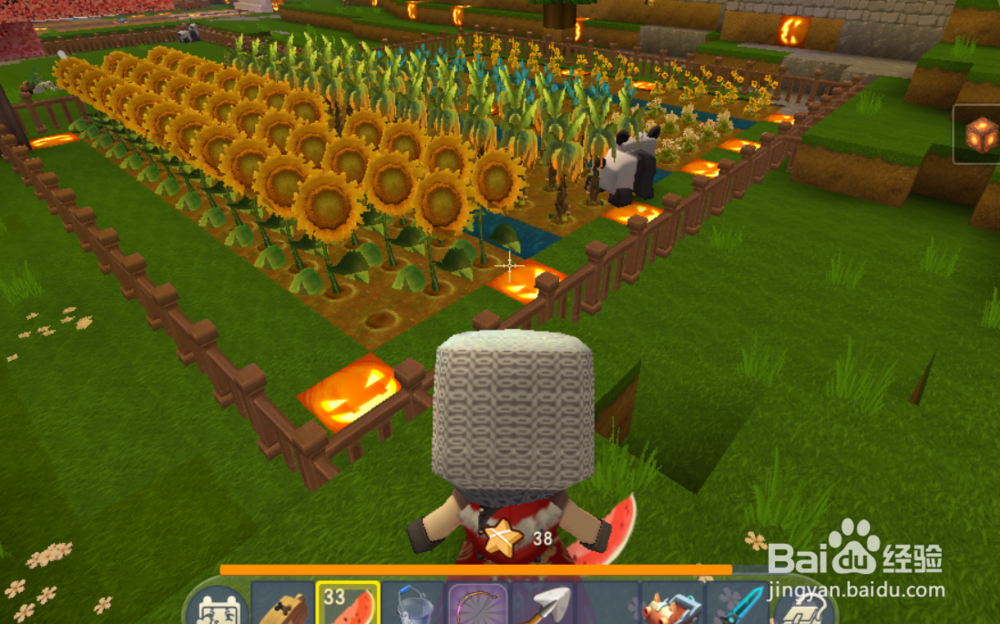 迷你世界龙血树怎么种