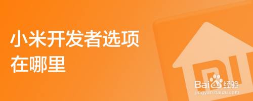 小米开发者选项在哪里