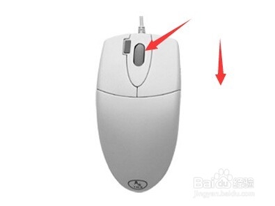 快速将网页字体变大与变小(字体缩放比例调整)