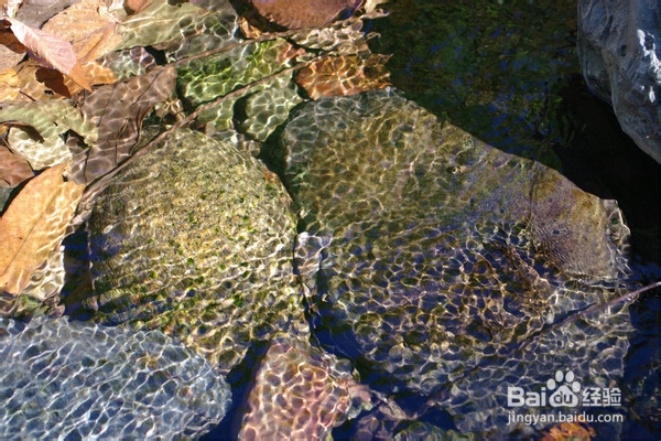 北京旅游攻略：[5]