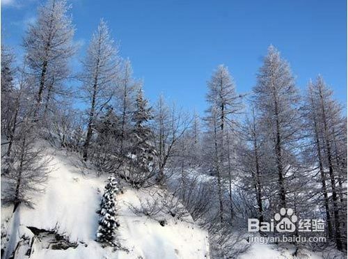 法国霞慕尼，冬季登山滑雪攻略