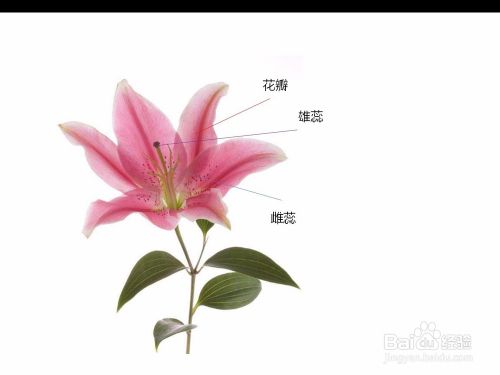 【PPT2007】利用PPT的触发器实现简单交互