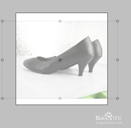 淘宝怎样获得新品标签