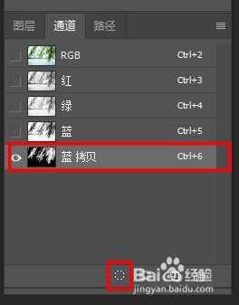 PS通道抠图杂乱的树叶