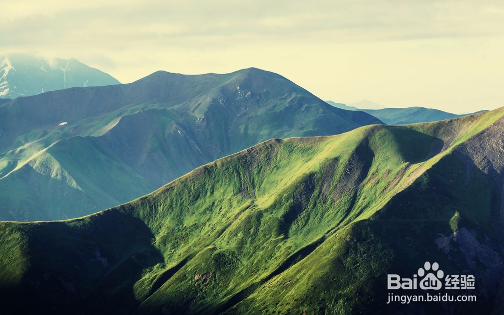 怎么进行自我管理?