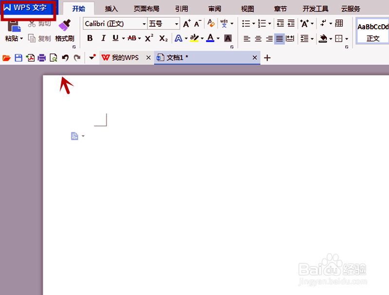在W SPS文字中如何快速的统计字数？