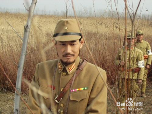 Mathematica基础——图片的共形变换