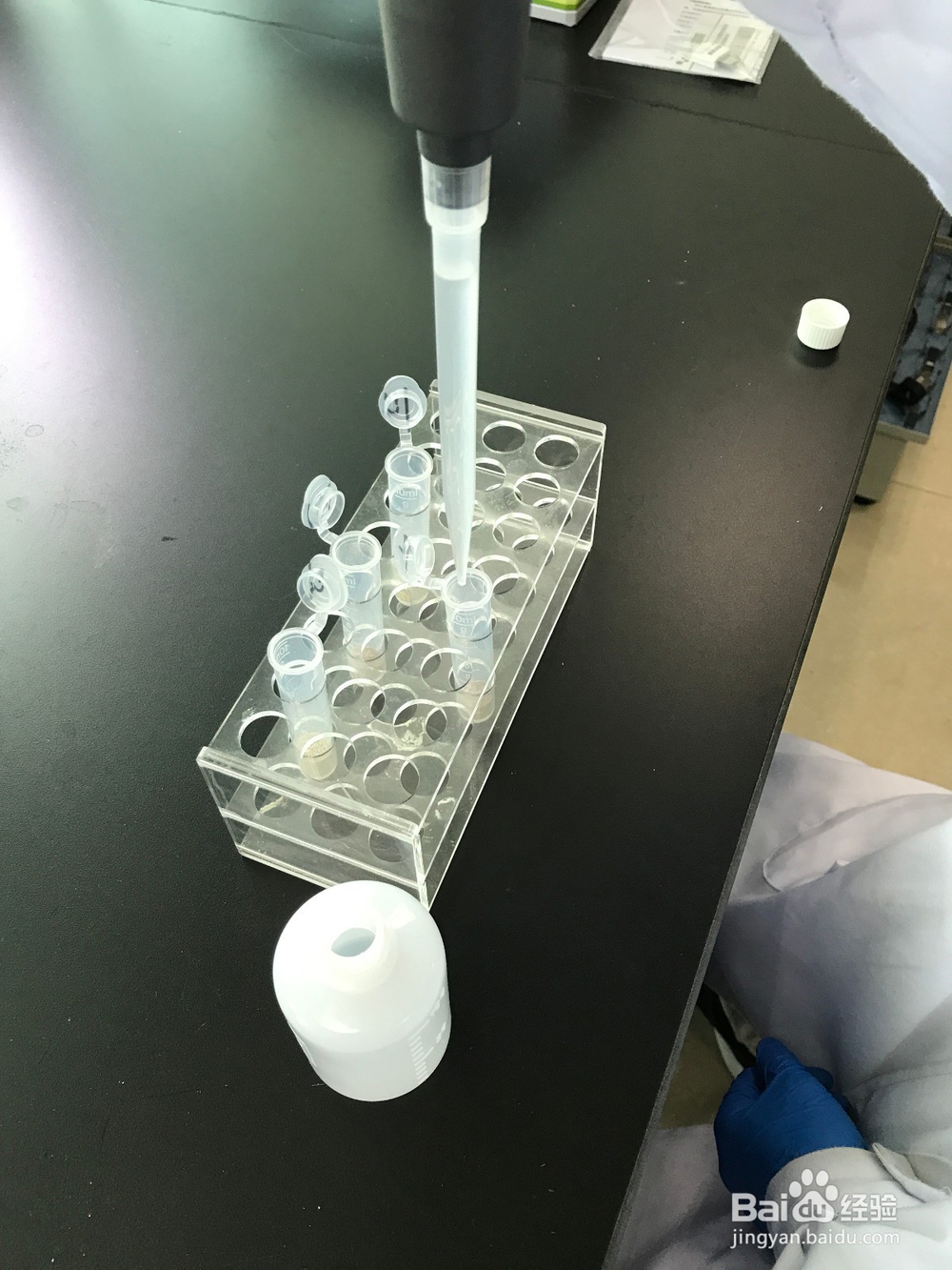 花生油等植物油中黄曲霉毒素B1快速定量检测操作