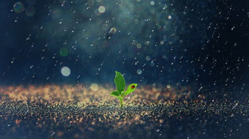 天晴了雨停了你又觉得你行了下一句怎么接