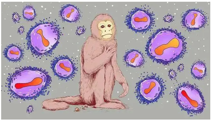 最近又有一个新的病毒