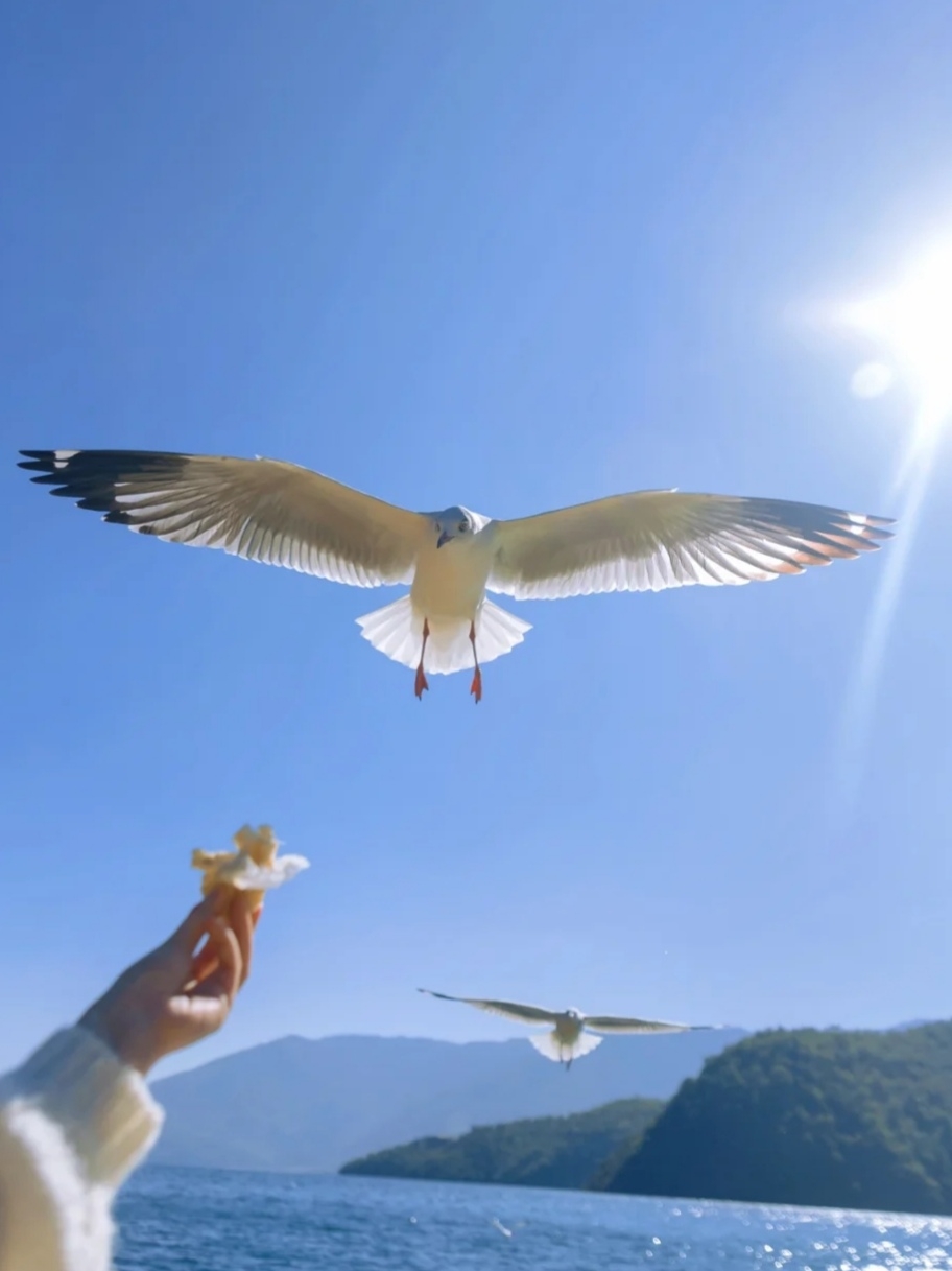 五一“不扎堆”云南这些绝美小众路线走一波