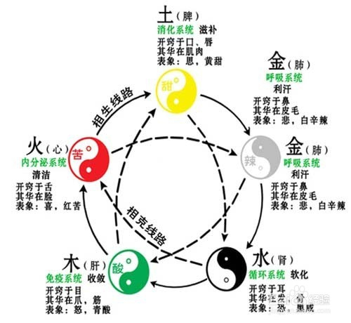 教你快速看懂阴阳五行金木水火土与人体的作用 百度经验