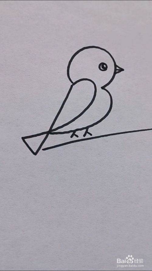 如何画枝头小鸟?