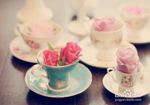 美化家庭—家庭养花小技巧