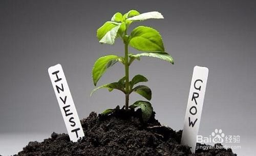 土壤监监控系统开发方案