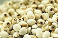 适合南方人的祛湿健脾汤