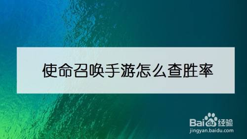 使命召唤手游怎么查胜率