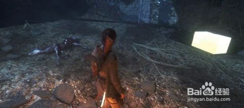 古墓丽影：崛起 图文全攻略